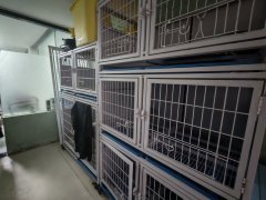 C13417苏州路盈科山水华庭外铺65平宠物店转让