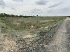 C13504昌吉市佃坝镇166亩优质土地低价出租