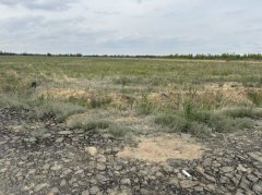 C13504昌吉市佃坝镇166亩优质土地低价出租