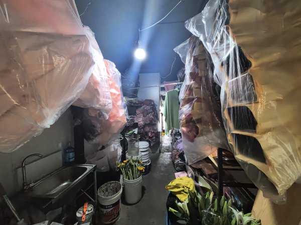 C13627碱泉三街经营3年老店花店转让 C13627碱泉三街经营3年老店花店转让