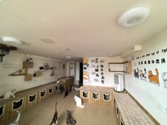 C13354经济开发区万创中心全新装修猫咖店转让
