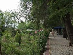 C13565米东区峡门子4亩农家乐出租出售