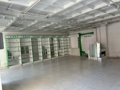 C13600昌吉市中山路枫叶广场商业街一层商铺出租
