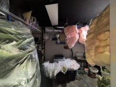 C13627碱泉三街经营3年老店花店转让
