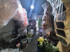 C13627碱泉三街经营3年老店花店转让