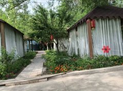 C13714位于昌吉市五道闸先锋路口经营中农家院转让